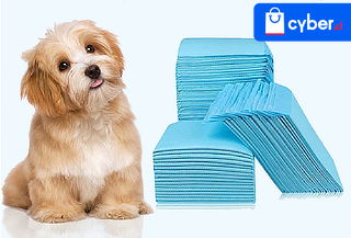 Pack 100 Toallas de Entrenamiento para Mascotas