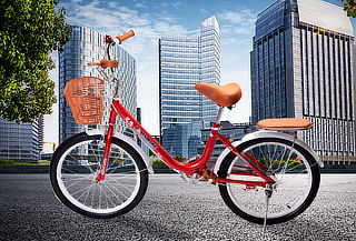 Bicicleta Infantil de Paseo Zeus Aro 20 Rojo