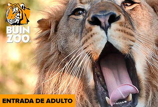 Entrada para Buin Zoo para Adulto Sabado o Domingo