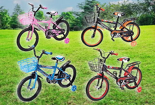 Bicicleta Infantil Zeus Aro 16, color a elección