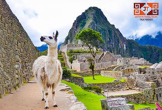 Imperdible Machu Picchu Full Day con Jasthy`n Travel 