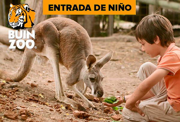 ¡En Cuponatic encontrarás las mejores experiencias en Buin Zoo!