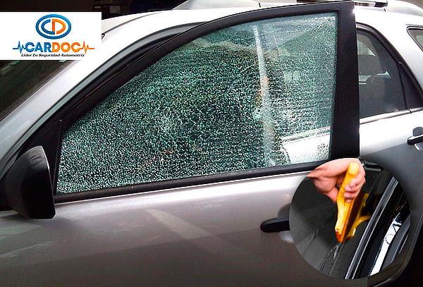 2 Láminas de Seguridad Americana de 4 Micras en Cardoc