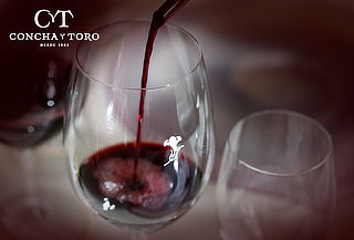Wine Tour en Viña Concha y Toro