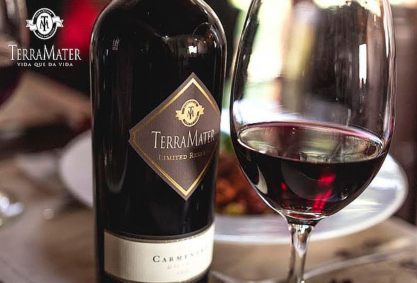 Wine tour Mediterraneo para 2 personas en Viña Terramater