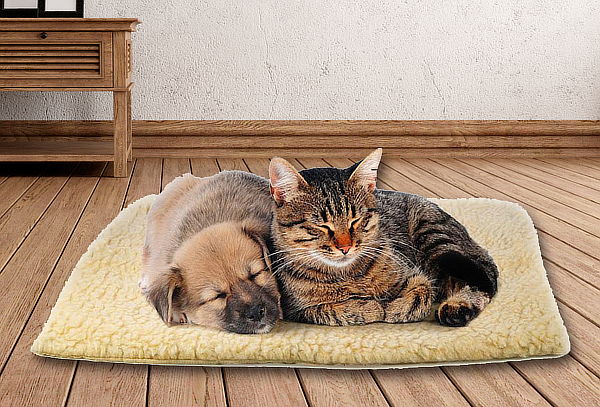 Cama termica confortable para Perros o Gatos