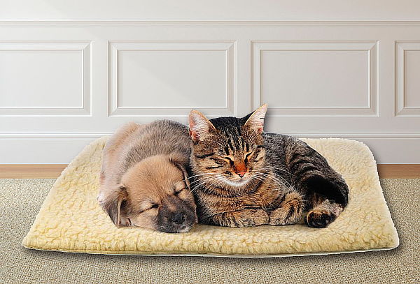 Cama termica confortable para Perros o Gatos