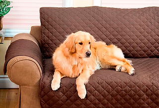 Funda Cobertor de Sillón para Mascotas Funda Cobertor de Sillón para Mascotas