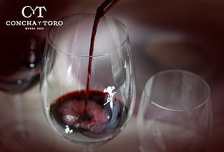 Wine Tour o Catas de vino en Viña Concha y Toro Wine Tour o Catas de vino en Viña Concha y Toro