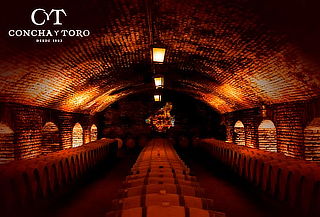 Wine Tour o Catas de vino en Viña Concha y Toro Wine Tour o Catas de vino en Viña Concha y Toro