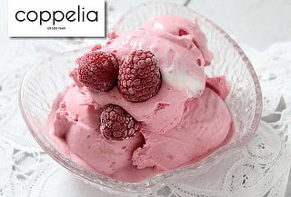 Pote de Helados Coppelia, 800 cc o 4,5 litros 