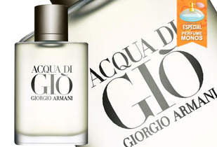 Perfume Acqua Gio 100 ml