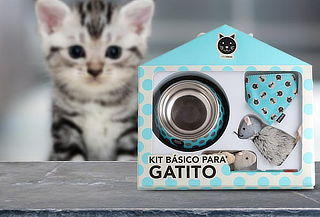 Kit Set Básico para Gatitos Primera Mascota