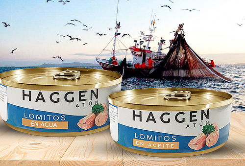Pack 24 o 48 latas de atún en lomitos marca Häggen