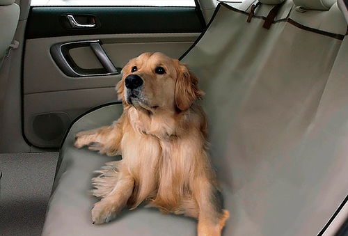 Cobertor de Asiento de Auto para Mascotas