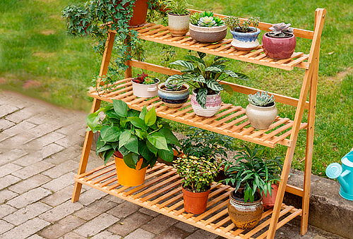 Pérgola de Bambú para Terraza 