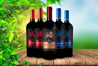 Pack de 6 o 12 Botellas de Vino Premium Despacho Incluido