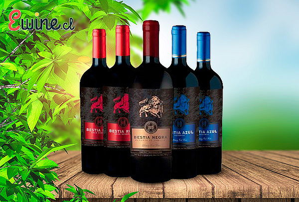 Pack de 6 o 12 Botellas de Vino Premium Despacho Incluido