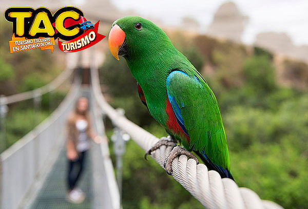 TAC Turismo: Tour Full day Parque Tricao y Pomaire