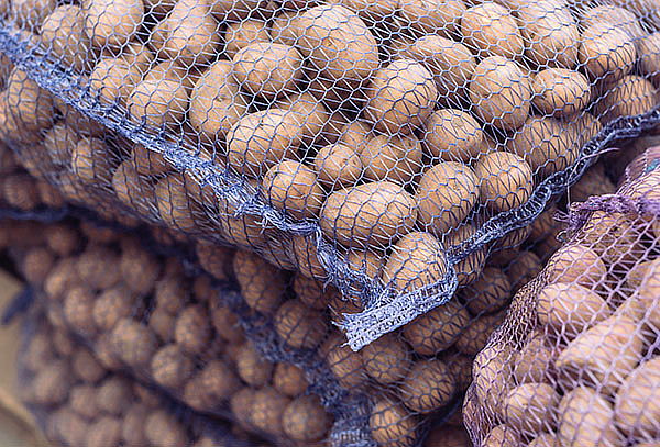 Saco de papas lavadas de Carahue de 25 kg. Incluye despacho