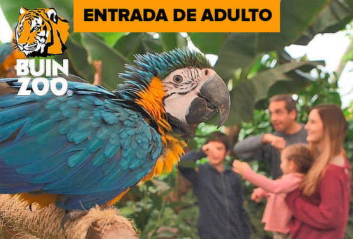 Entrada para Buin Zoo para adulto