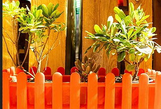 Jardinera Plástica Reciclada 10 Lts