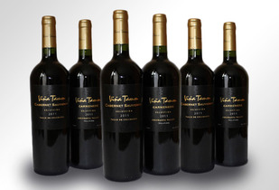 Imperdible Caja de 6 botellas de Vino Viña Tamm  Colchagua 