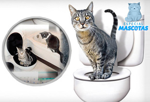 Baño Sanitario para Gatos