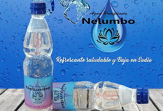 Agua Purificada Nelumbo 500 cc