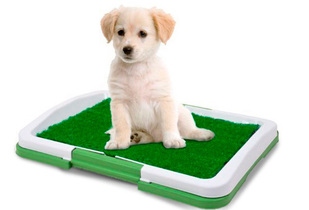 65% Baño para Mascotas Puppy Potty Pad