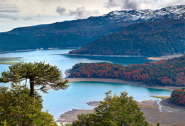 ¡Gran Tour Conguillío! Laguna Verde, Laguna Arco Iris y Más