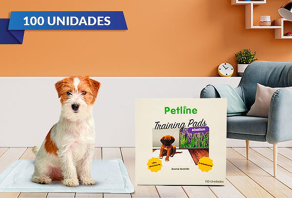 Pack 100 Toallas Entrenamiento Mascotas 60cm X | Cuponatic