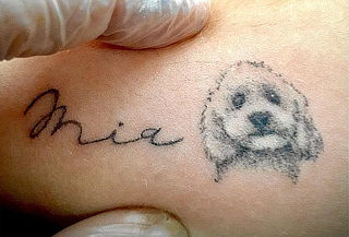 Tatuaje de Mascotas 5 Cm, 10 Cm y 15 Cm en Negro