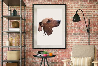 Retrato Geopets de tu Raza Favorita a elección