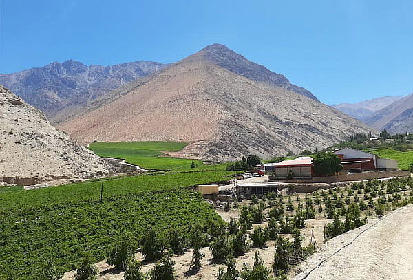 Tour Valle del Elqui + Transporte + Almuerzo + Museo y más!