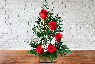 Rosas de Regalo! Distintas Variedades