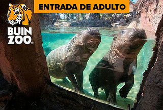 Entrada para Buin Zoo para Adulto: Martes a Viernes