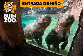 Entrada Buin Zoo para Niño Martes a Viernes