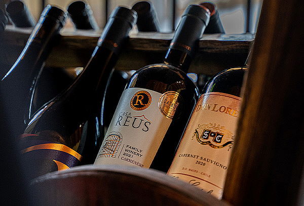 WineTour + Degustación Viña Santa Catalina