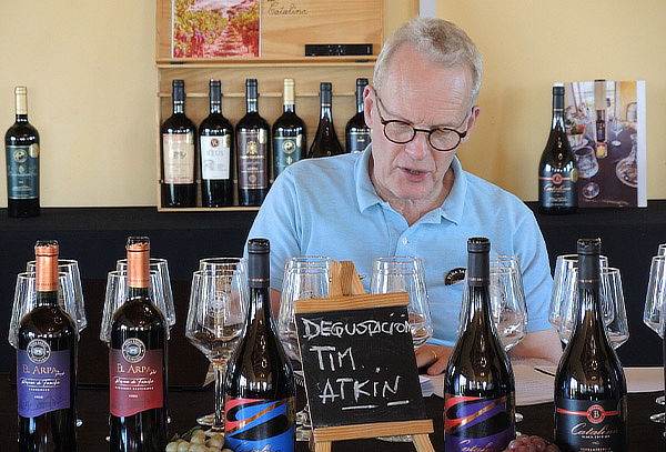 WineTour + Degustación Viña Santa Catalina