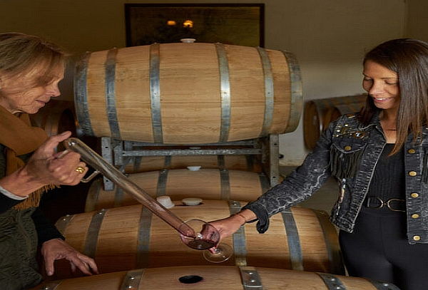 Tour Ícono + Degustación Premium en Viña Boutique Encierra