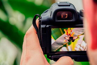 Curso Online de Fotografía en Cursohub