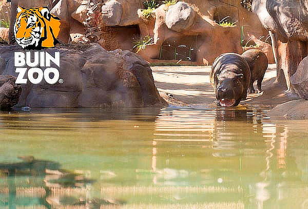 Entrada para Buin Zoo para Adulto Sabado o Domingo