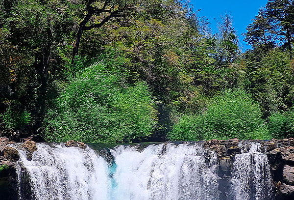 Pucón - Termas & Valdivia - Semana Santa - Salida 28/03