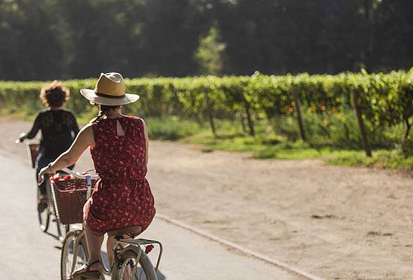 Para 2 Wine Tour Bicicleta Tradicional Viña Cousiño Macul