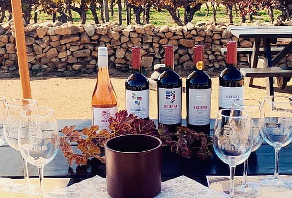 Tour Icono, Viña Encierra 