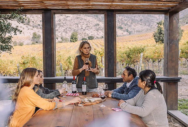 Tour Icono, Viña Encierra 