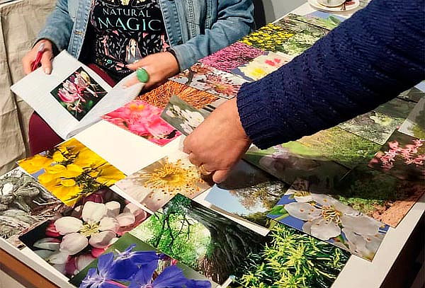 Sesión de Flores de Bach en SanArte, Valparaíso