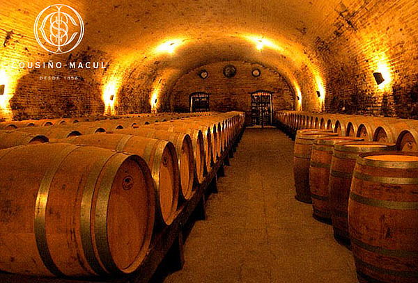 Para 2 Wine Tour tradicional Viña Cousiño Macul,Peñalolén