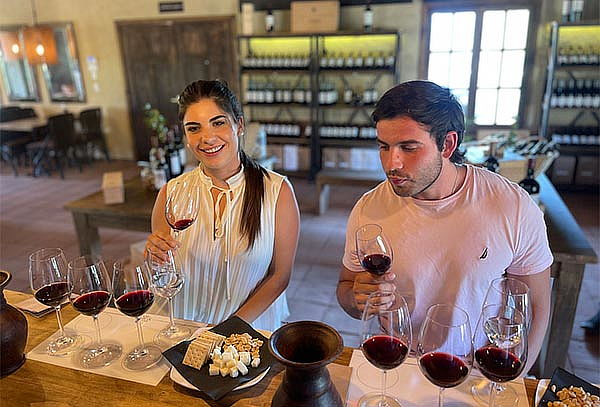 Tour Mixto con Degustación en Viña Valle Secreto